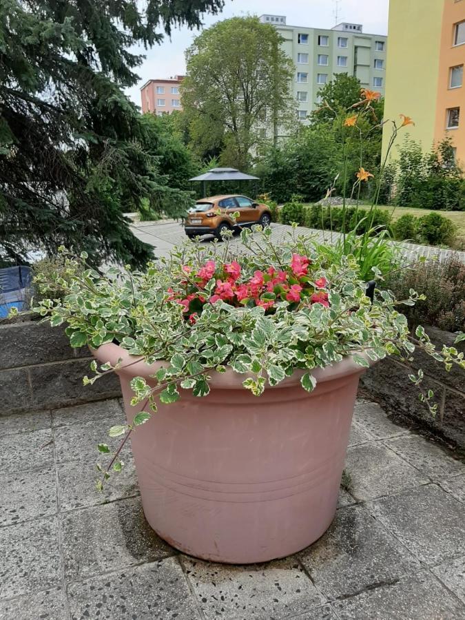 Zluty Apartman A6 V Chomutove Apartment Exterior foto